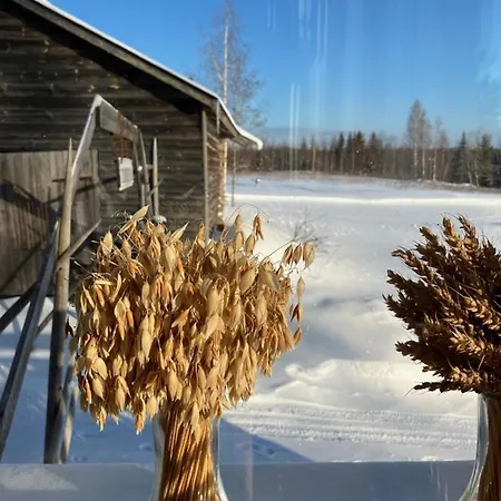 Lamminmaeen Juhla Ja Peti Bed & Breakfast Joutsa