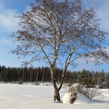 Bed & Breakfast Lamminmaeen Juhla Ja Peti *